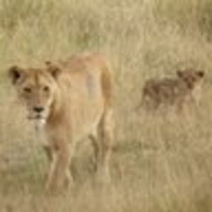 Meet your Posher, Michele